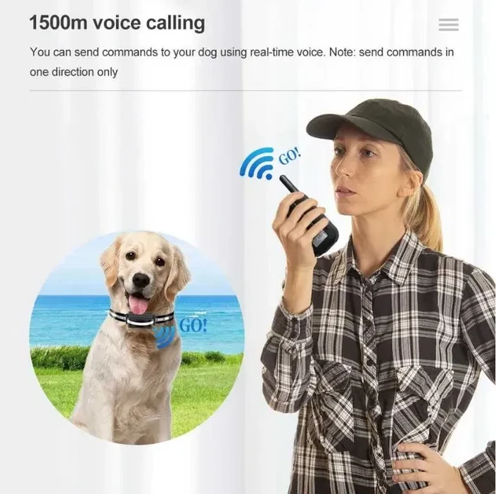 Electric collar with remote control for training, вид 4