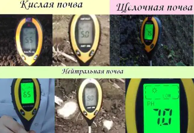 Ph meter for soil AMT-300. with delivery, вид 3